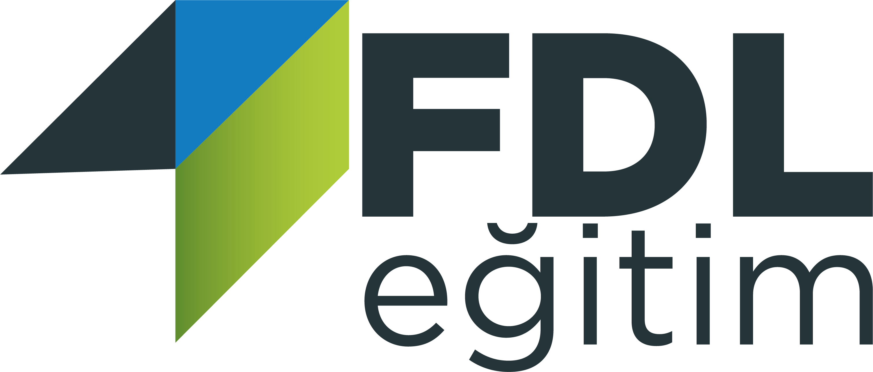 FDL LOGO (1)